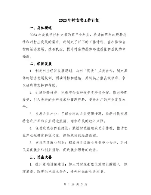 2023年村支书工作计划