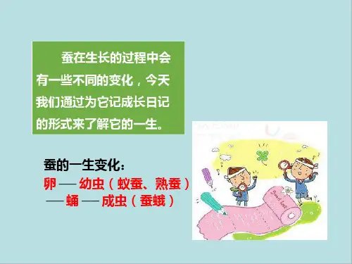 第二单元--2给蚕宝宝记日记