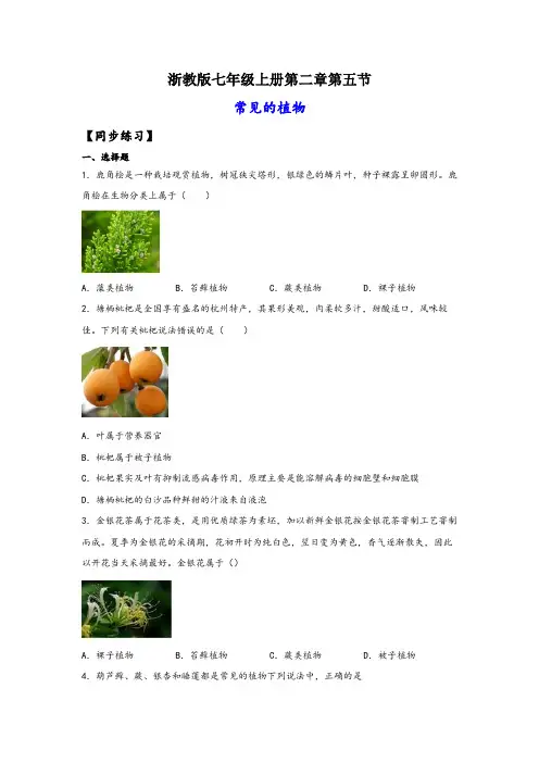 浙教版七年级科学上册同步精品课堂2.5常见的植物(练习)(原卷版+解析)