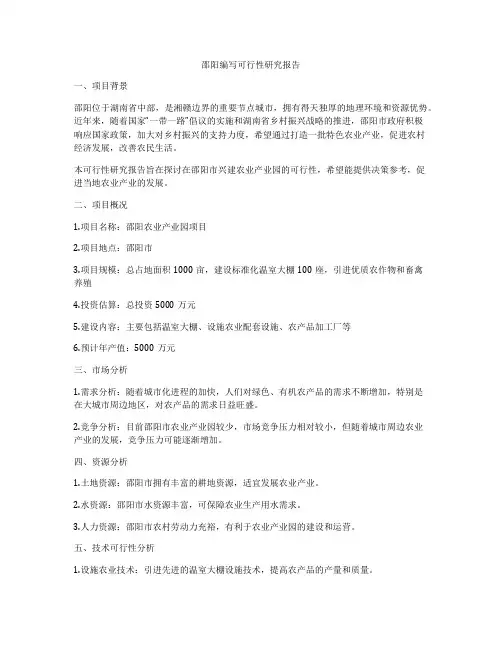 邵阳编写可行性研究报告