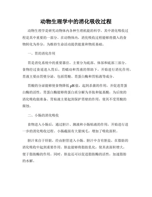 动物生理学中的消化吸收过程