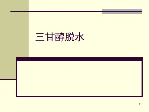 018 三甘醇脱水