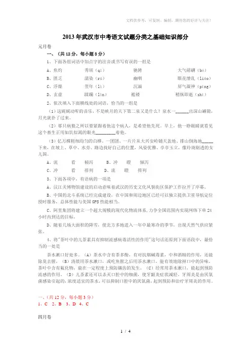 2013年武汉市中考语文试题分类之基础知识部分