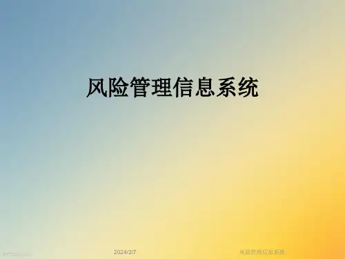 风险管理信息系统