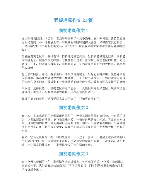 猫捉老鼠作文21篇