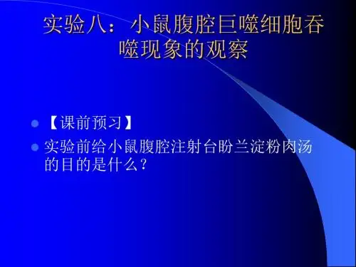 实验十小鼠腹腔巨噬细胞吞噬现象的观察
