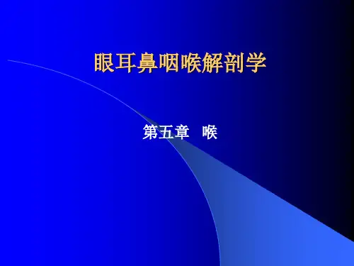眼耳鼻咽喉解剖学- 喉  (NXPowerLite)精品PPT课件