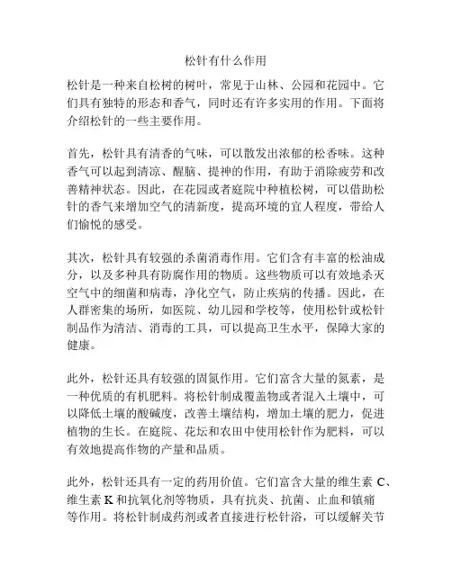 松针有什么作用