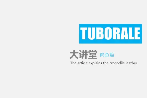 鳄鱼