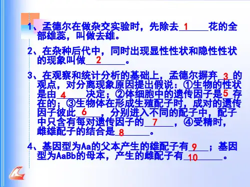 高中生物必修2知识 默写过关