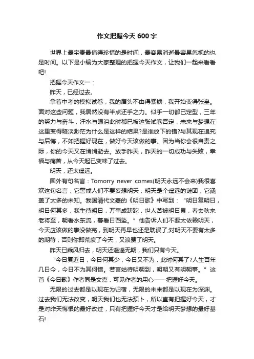 作文把握今天600字