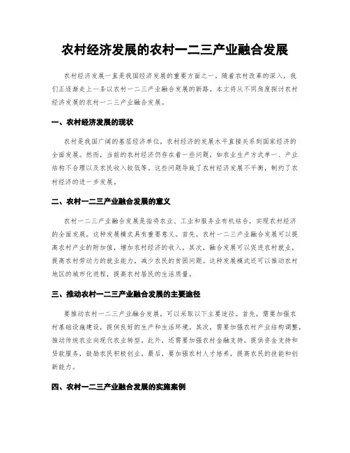 农村经济发展的农村一二三产业融合发展