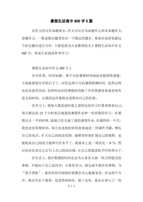 暑假生活高中800字5篇