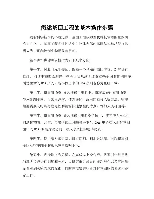 简述基因工程的基本操作步骤