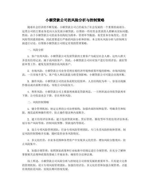 小额贷款公司的风险分析与控制策略