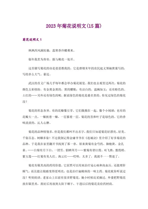 2023年菊花说明文(15篇)_2