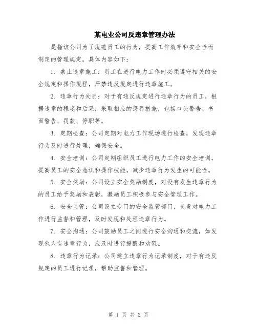 某电业公司反违章管理办法