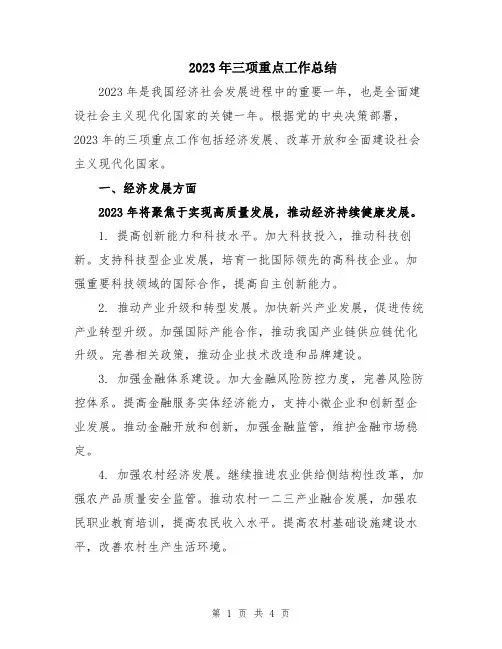 2023年三项重点工作总结