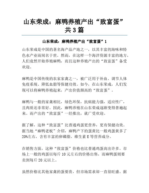 山东荣成：麻鸭养殖产出“致富蛋”共3篇