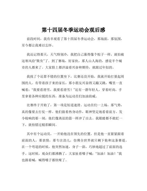 第十四届冬季运动会观后感