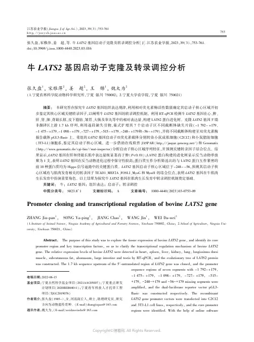 牛LATS2_基因启动子克隆及转录调控分析