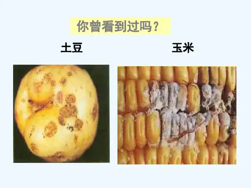 高中生物备课资料 第一章 生物科学与农业 第2节植物病虫害和动物疫病的防治课件 浙科版选修2