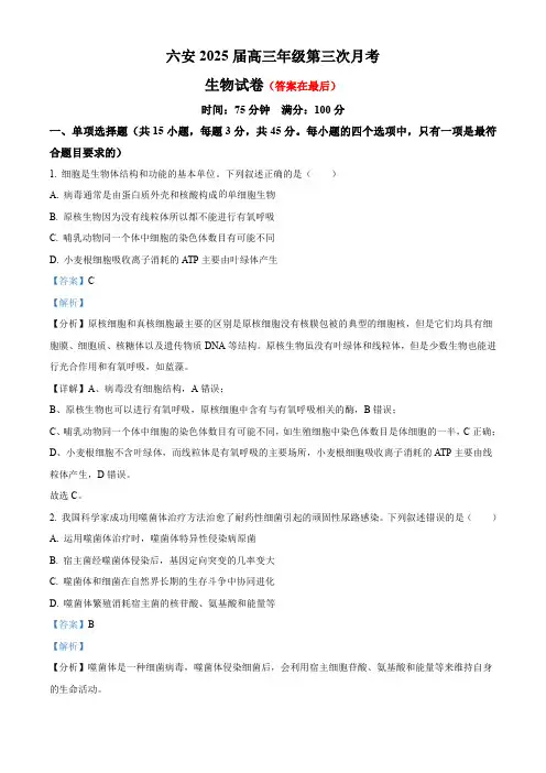 安徽省六安市金安区2024-2025学年高三上学期11月月考生物试题含答案
