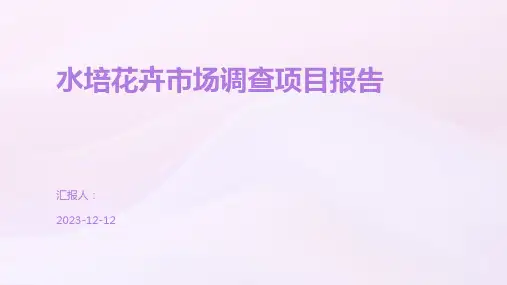 水培花卉市场调查项目报告