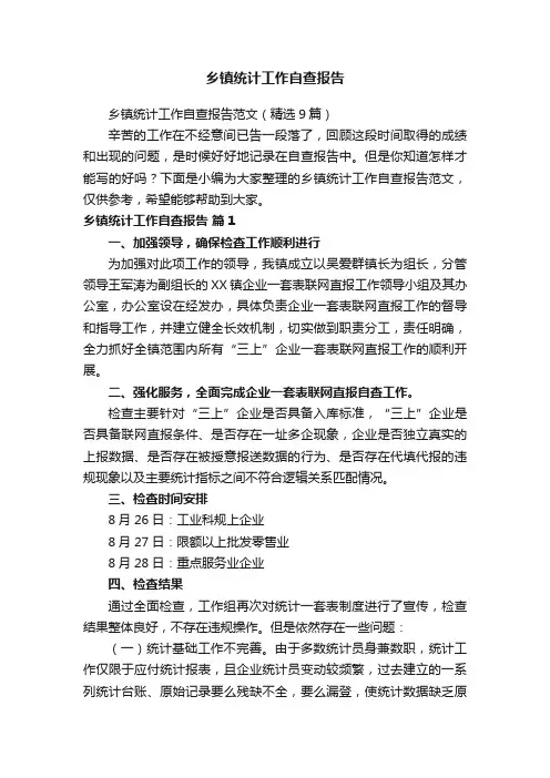 乡镇统计工作自查报告范文（精选9篇）