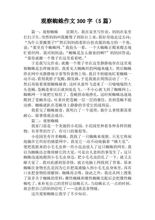 观察蜘蛛作文300字(5篇)
