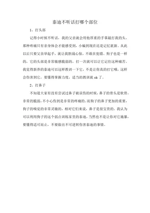 泰迪不听话打哪个部位