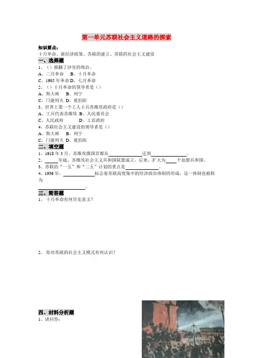 九年级历史下册练习题精编 人教新课标版