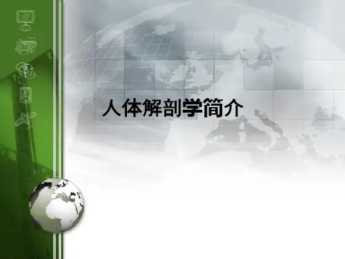 人体解剖学简介ppt课件