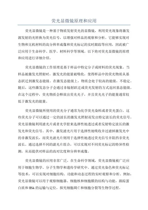 荧光显微镜原理和应用