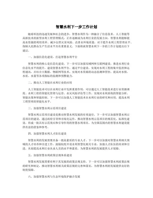 智慧水利下一步工作计划