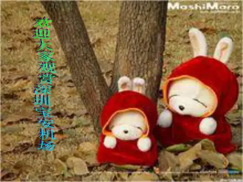 深圳宝安机场