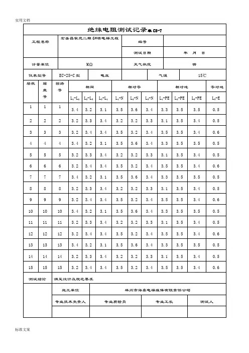 电梯绝缘电阻测试记录簿表