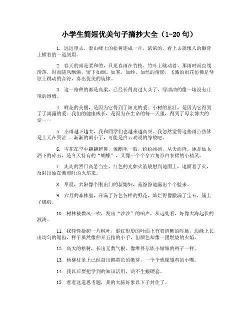 小学生简短优美句子摘抄大全