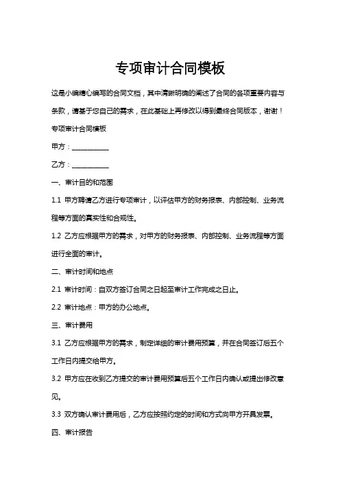专项审计合同模板