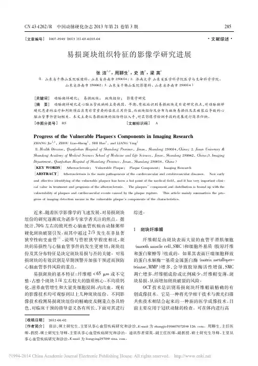 易损斑块组织特征的影像学研究进展_张洁