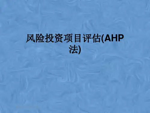 风险投资项目评估(AHP法)
