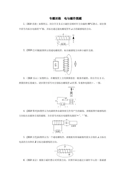 2020中考物理考前突击重点专题训练  电与磁作图题