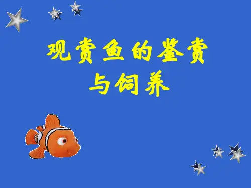 观赏鱼的鉴赏与饲养2013