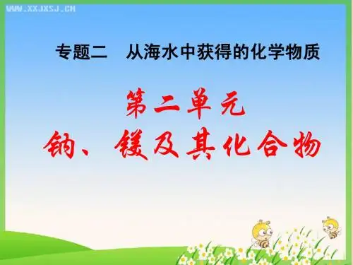 钠、镁及其化合物