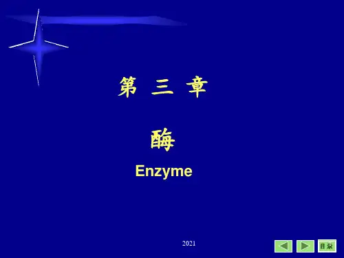 酶以及酶促反应PPT课件