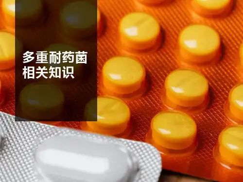 多重耐药菌培训相关知识ppt