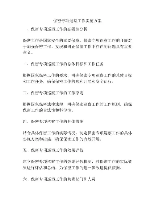 保密专项巡察工作实施方案