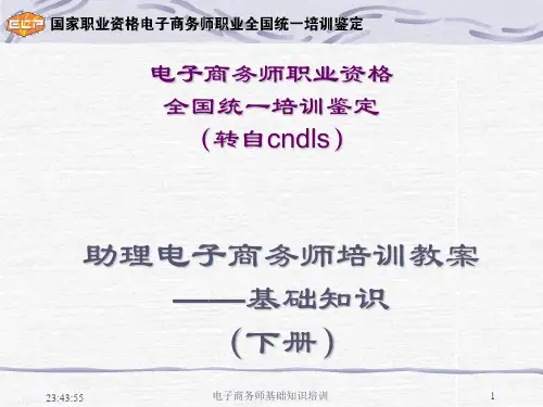 2014年电子商务师基础知识(全)下册