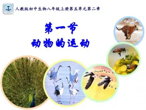 《动物的运动》课件