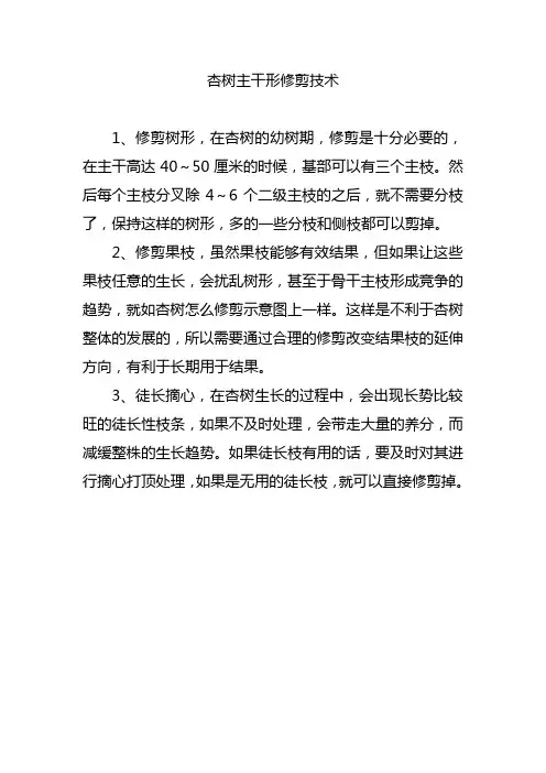 杏树主干形修剪技术
